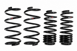 RS-R 14-20 Fit GK5 Down Sus Lowering Springs